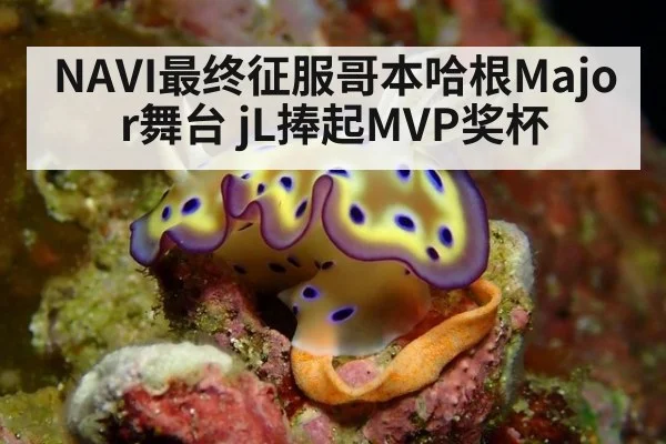 NAVI最终征服哥本哈根Major舞台 jL捧起MVP奖杯
