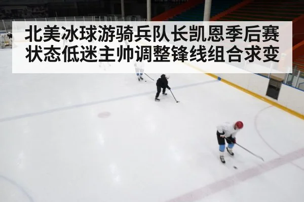 ice hockey rink