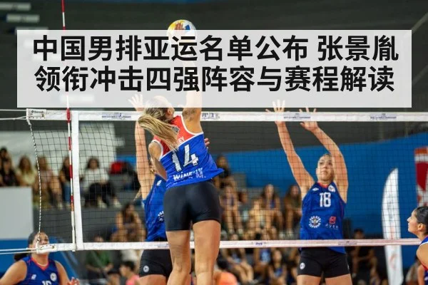 volleyball match action